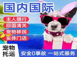 玉树巴塘空运公司国际宠物托运 【国